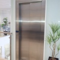 elevap-cat-028